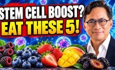 stem cell activation fruits you