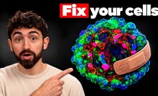 the cell repair trick to live